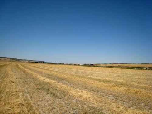 Villarmentero Desde Olmos