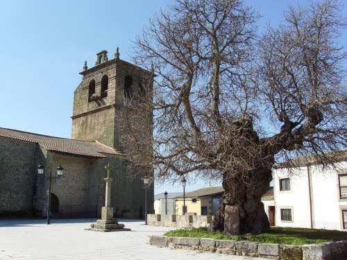 Iglesia De Villar Del Buey