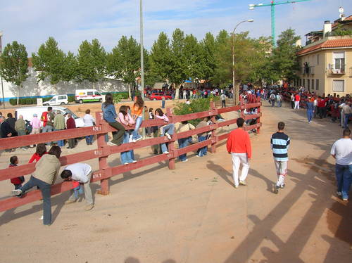 Encierros Junto A Plaza Toros