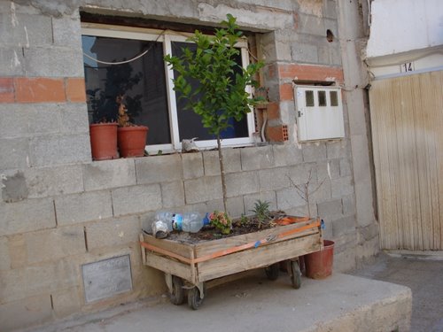 Ayuntamiento de Villatoya imagen de fachada