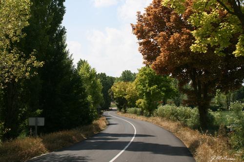 Carretera En Viloria