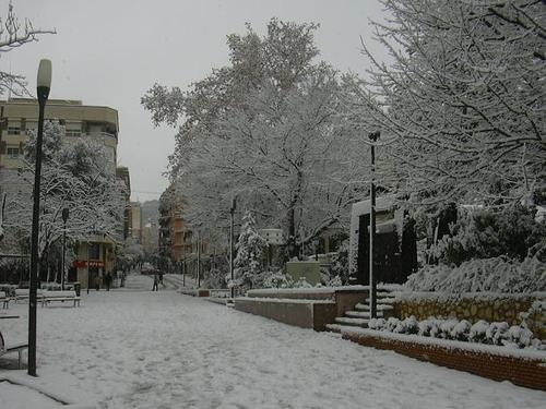 Ayuntamiento de Yecla imagen de fachada