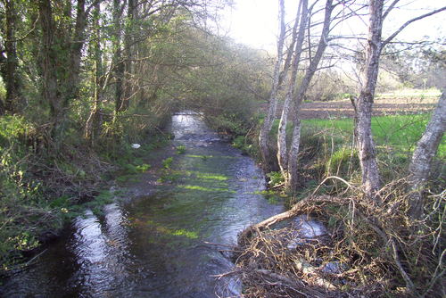 Ayuntamiento de Zas imagen de fachada